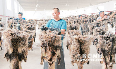 阜新皮革产业基地 第一批自主生产的裘皮下线(图文)
